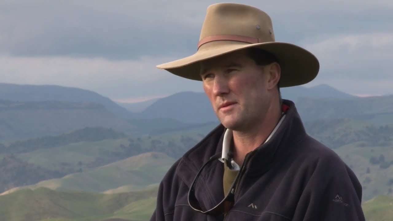 PGG Wrightson Stud Tour - Ep 23 - Moto-Nui Romneys