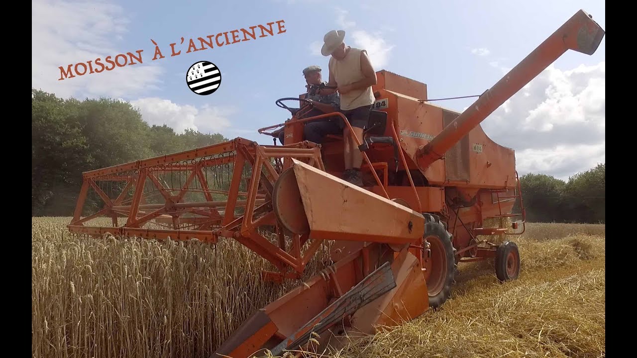 Moisson à l'ancienne 2019