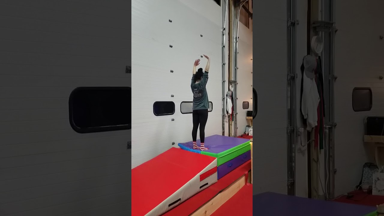 Adult Gymnastics class!