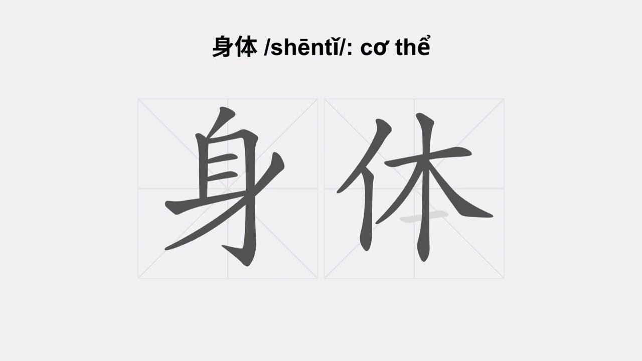 Cách viết chữ 身体 /shēntǐ/ cơ thể trong tiếng Trung