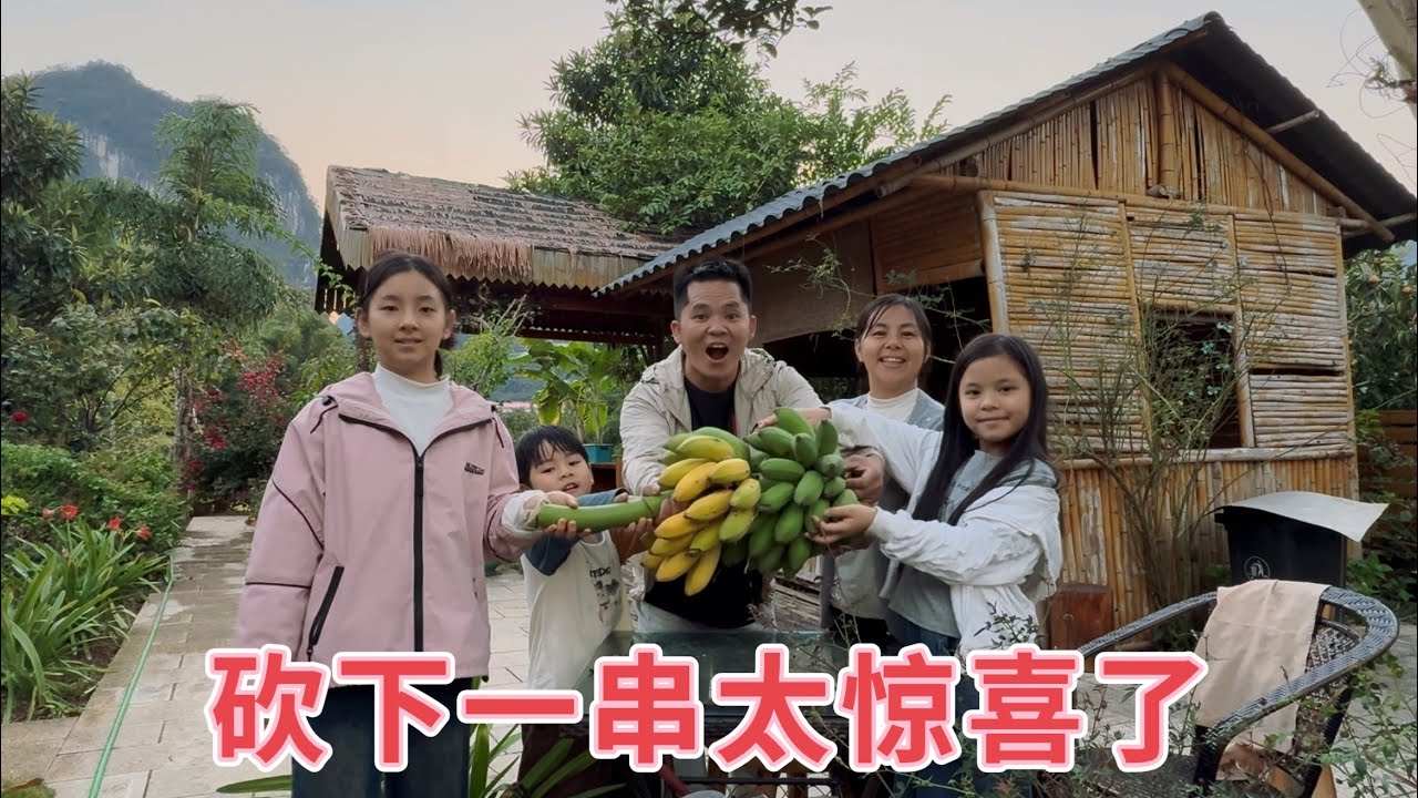 小放媳妇又卖芭蕉了，砍芭蕉时发生了什么？3个孩子惊喜不已，看看一串能卖多少钱？