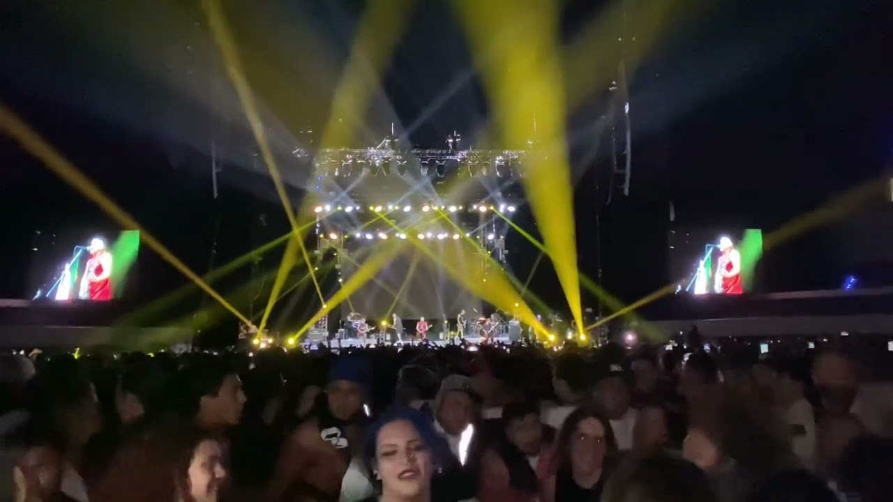 SKA-P - McDollar 4K #cdmx #ska