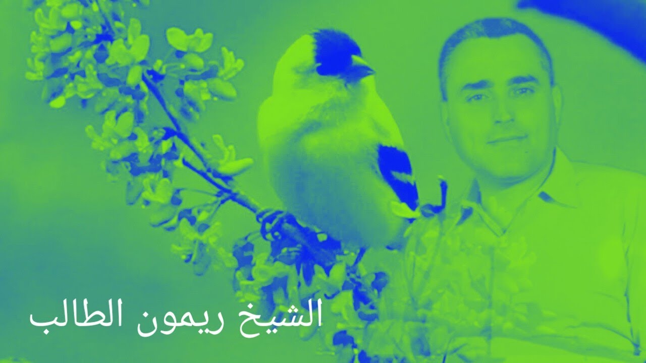 الشيخ ريمون الطالب