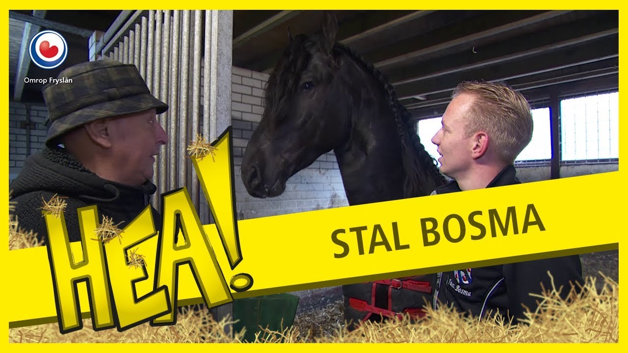 HEA! Stal Bosma