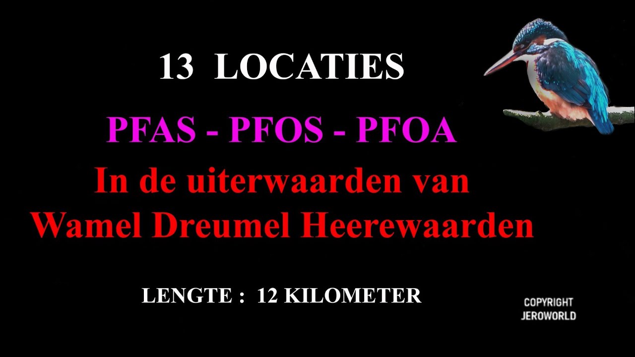 WILDLIFE HOLLAND 7 De Dreumelse Waard 2023  (PFOS in uiterwaarden Wamel, Dreumel en Heerewaarden)