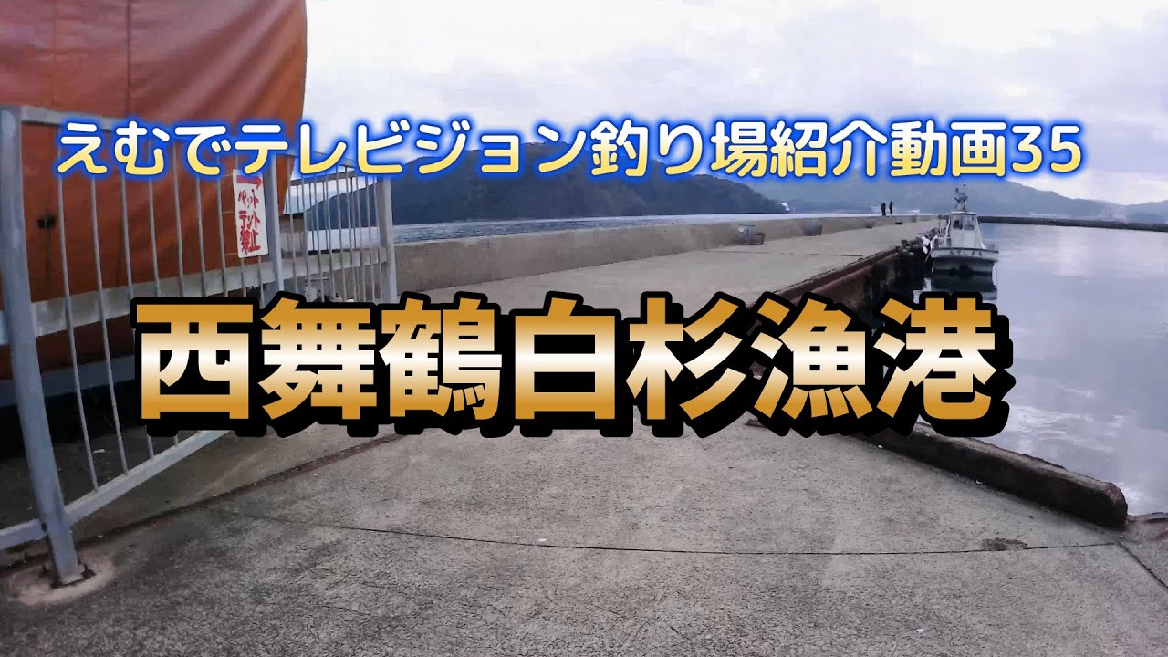 えむでテレビジョン416  えむでテレビジョン釣り場紹介動画35　西舞鶴白杉漁港