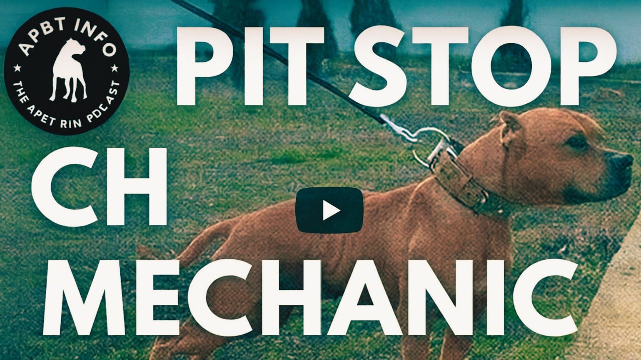 История PIT STOP CH MECHANIC 4XW ROM 🏆 История Pitbull и легенда GameDog