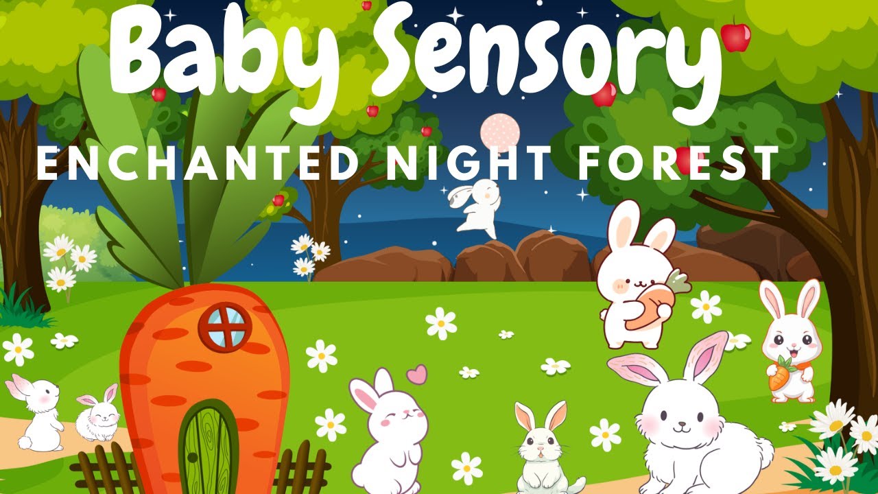 🌙 Enchanted Night Forest | Relaxing Baby Sensory Music with Gentle Animals & Twinkling Stars