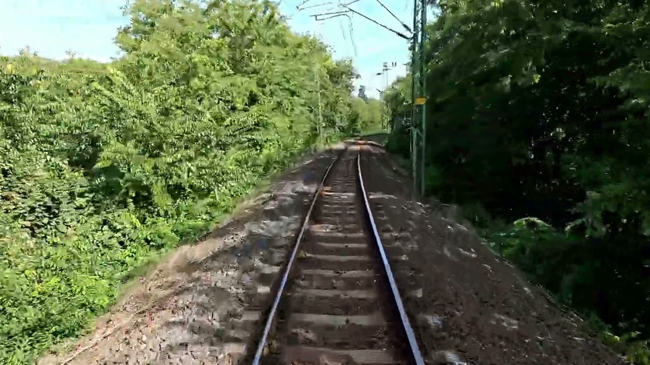 The Line Rákospalota-Újpest - Vácrátót  (Nr. 71.) 2025 4k