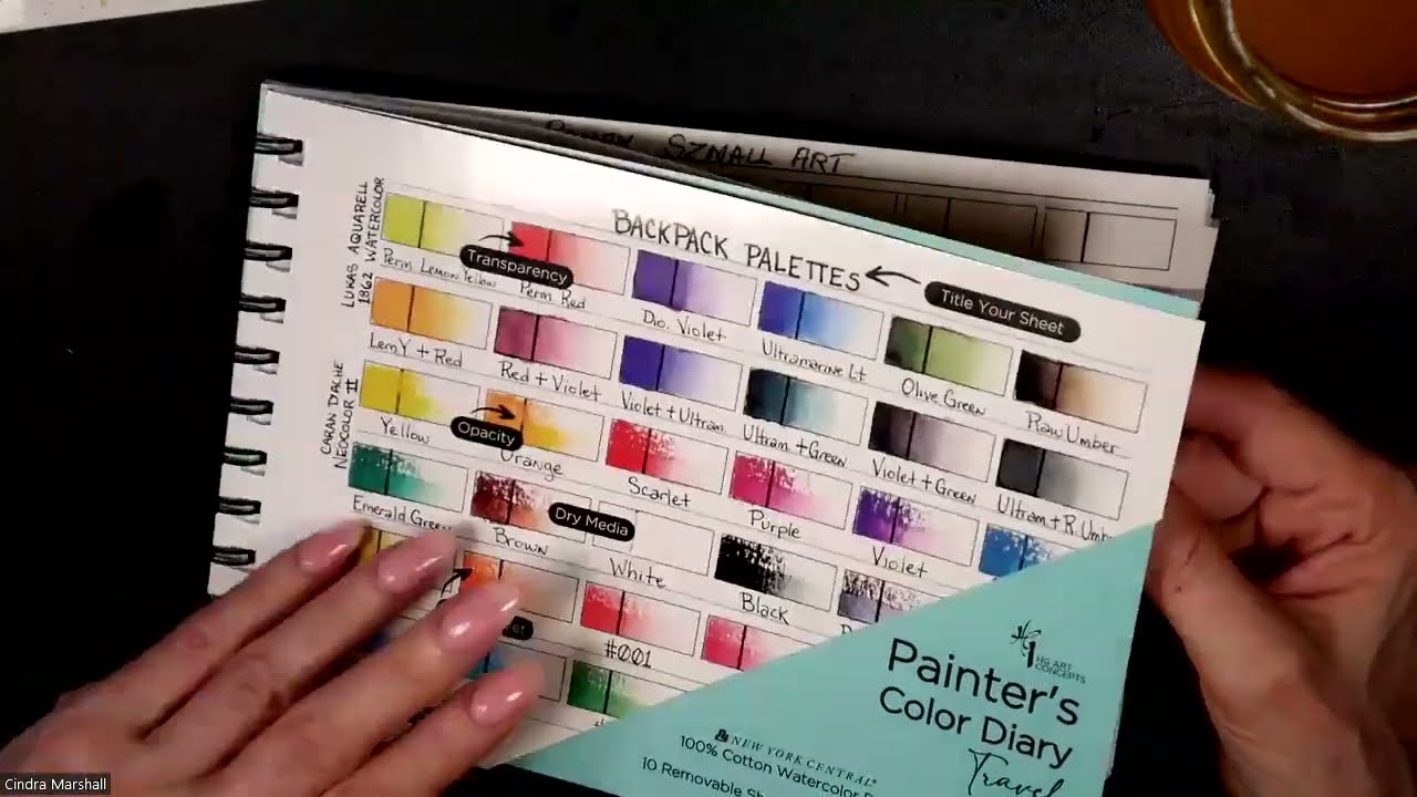 How to use a PAINTER'S COLOR DIARY with Watercolors