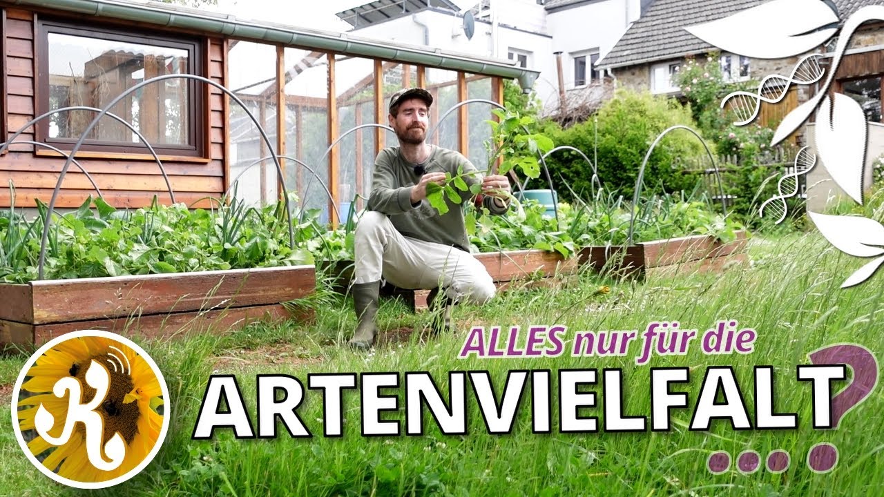 Das Problem mit dem &bdquo;Artenschutz&ldquo;🌿🐛 - was Biodiversit&auml;t wirklich bedeutet.