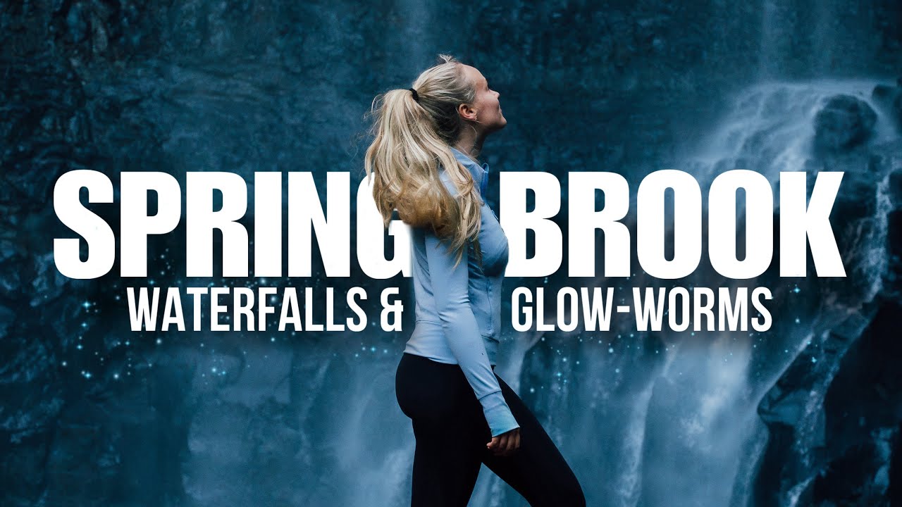 We Found Glow-Worms & Waterfalls! | Springbrook Adventure