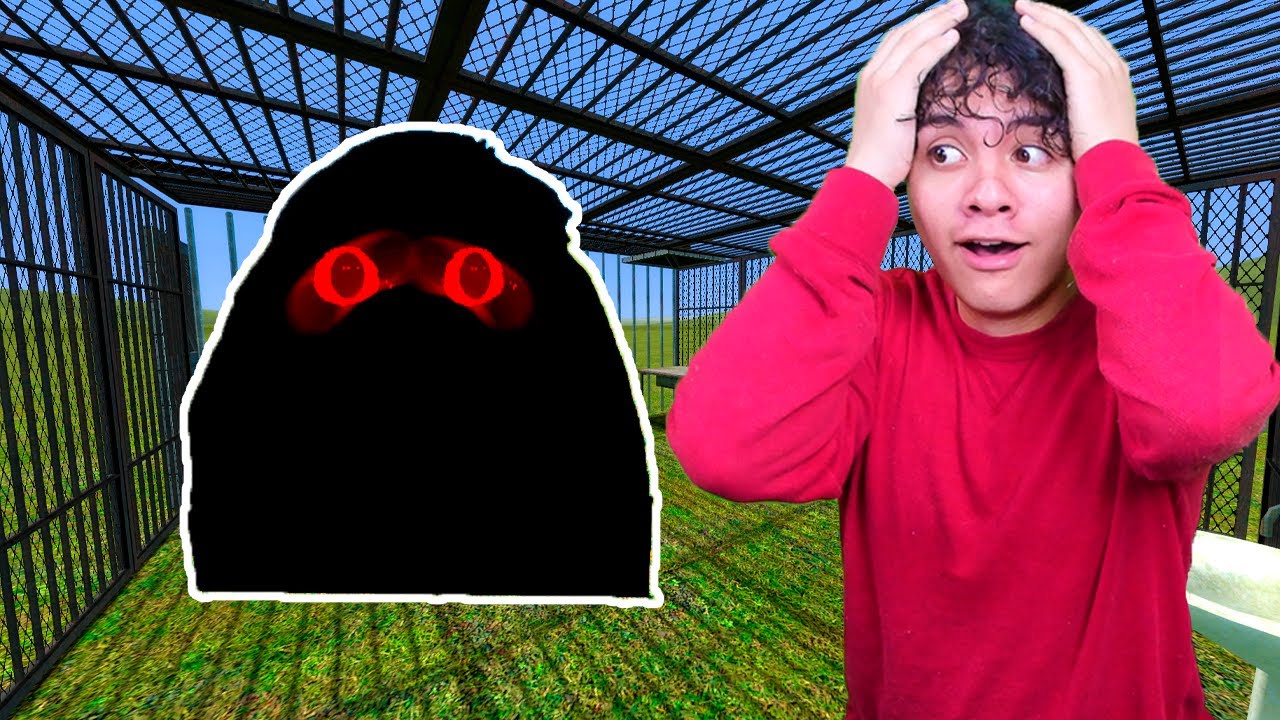 ATRAPAMOS A LOS NUEVOS ANGRY MUNCI FAMILIA