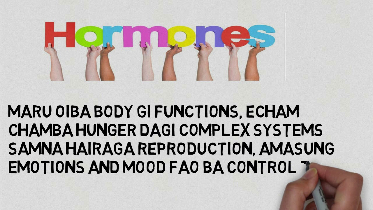 HORMONES | IN MANIPURI & ENGLISH | ANIMATION