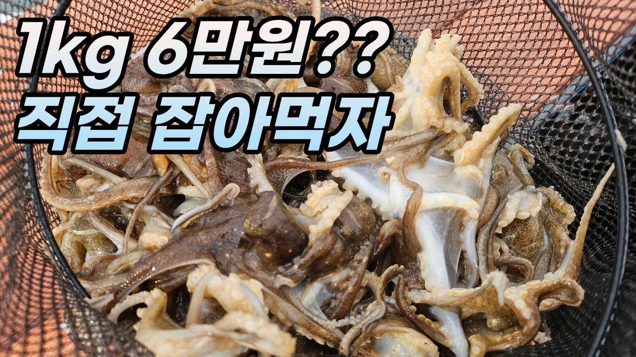 서해앞바다 알쭈꾸미가 줄줄이 나온다🔥 비싼 쭈꾸미 낚시로 직접 잡아먹어보자(feat. 영목항파티호)
