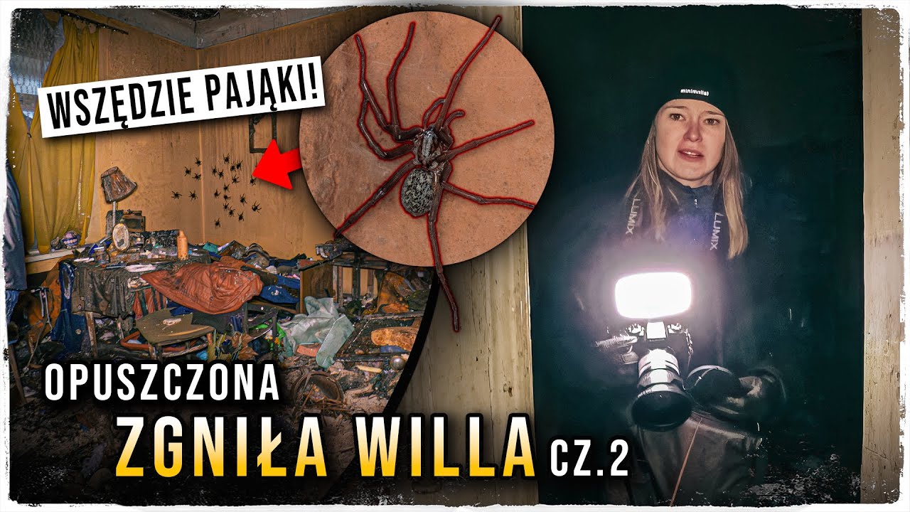 SETKI PAJĄKÓW w Zgniłej Willi 🕷️ KOSZMAR ARACHNOFOBÓW... | ExploRide Urbex