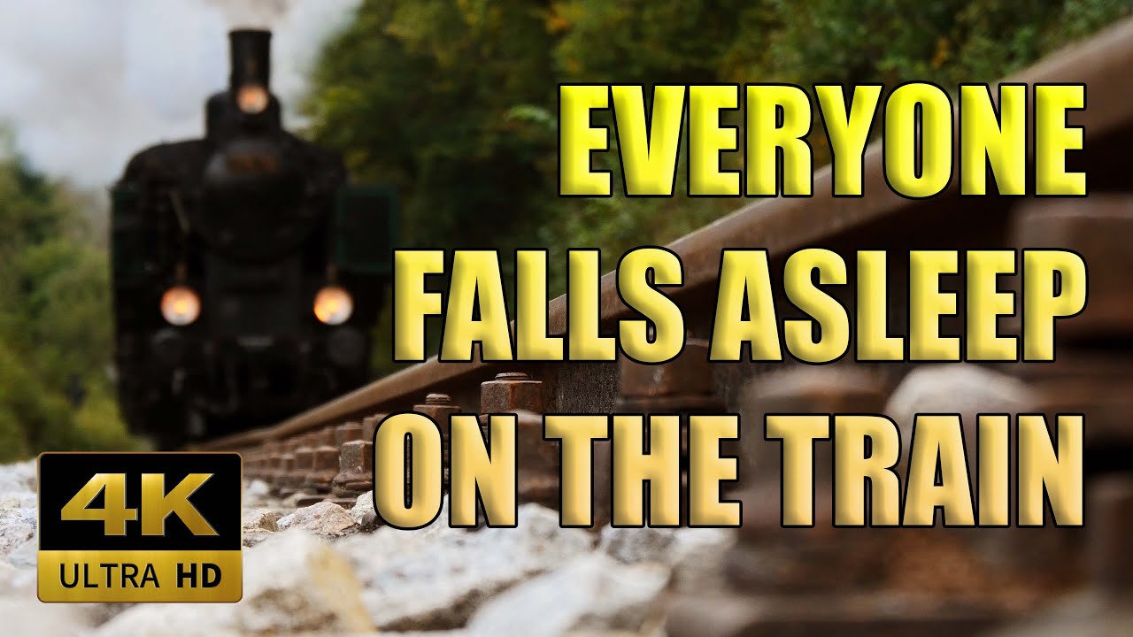 Everyone Falls Asleep On The Train - Sleep, Meditation, Relaxation, Reading - 8 Hours