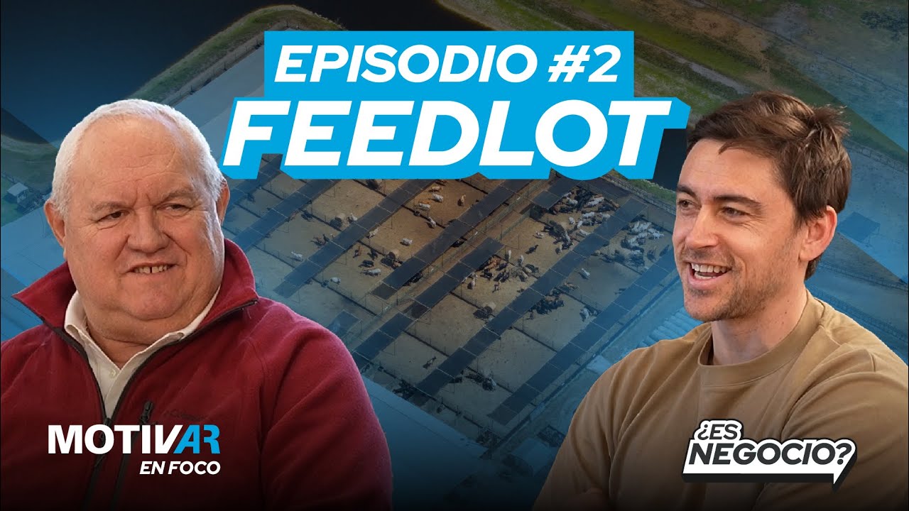 ¿ES NEGOCIO CRIAR GANADO EN LA ARGENTINA? | MOTIVAR en Foco
