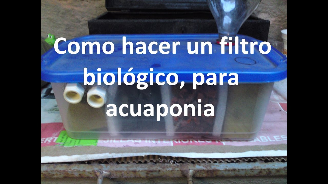Como hacer filtro biologico para acuaponia 1 de 2