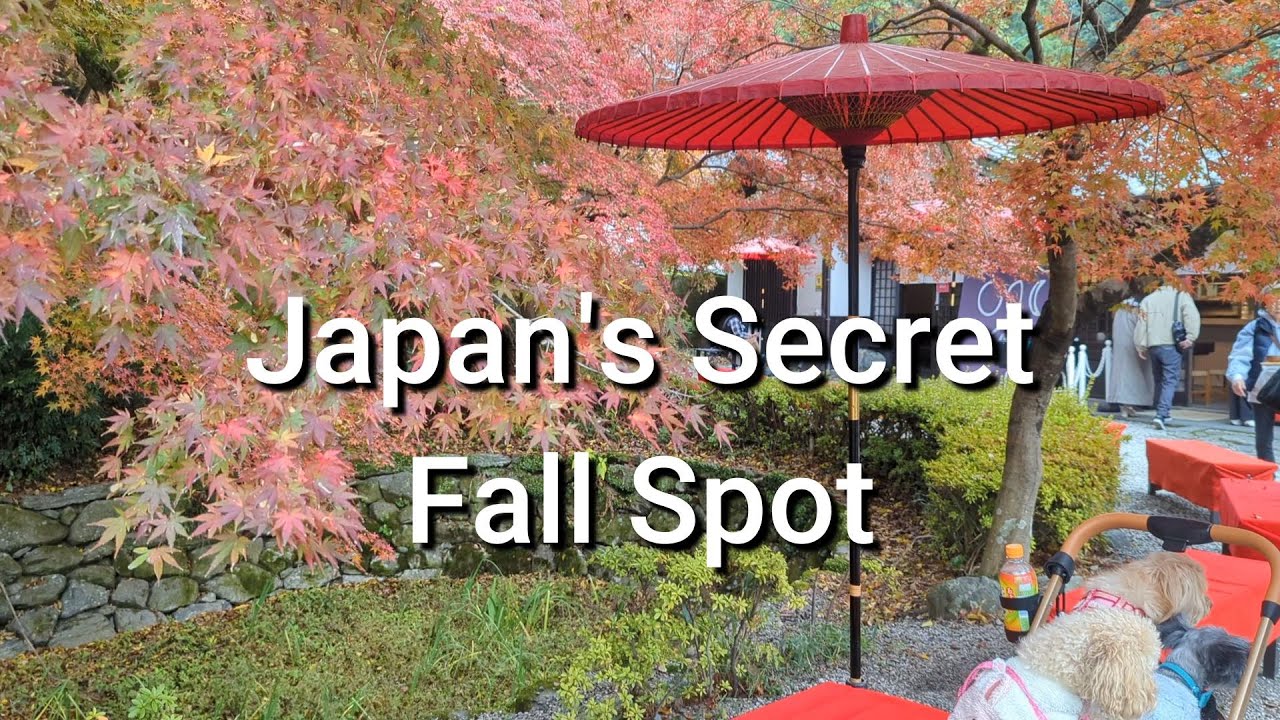 A Peaceful Autumn Walk in Japan: Akizuki Castle, Fukuoka