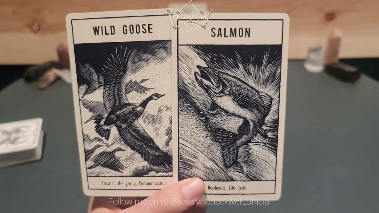 Pisces - Whatever this thing is gestating will be bigger than you realize!!! - Quantum Tarotscope