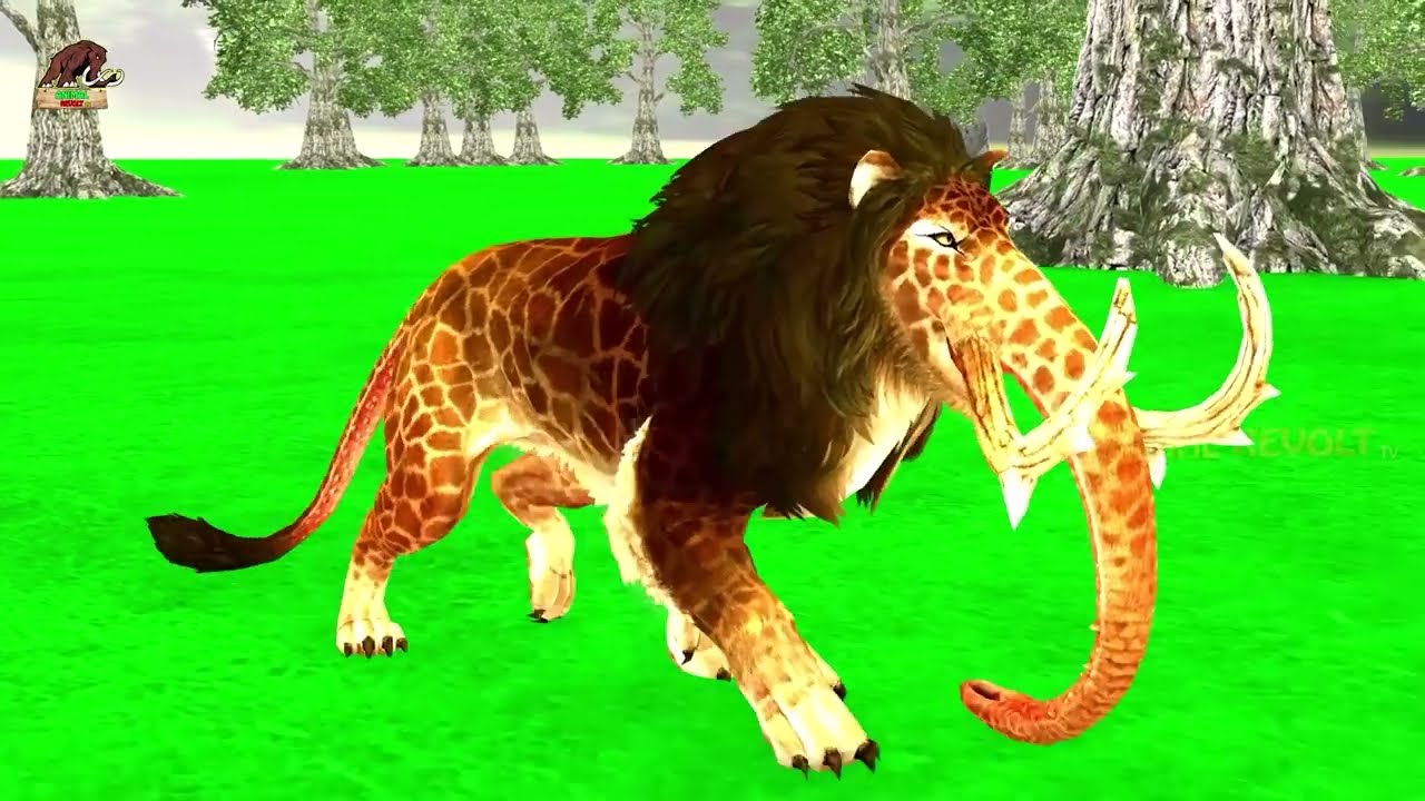 Black Lion Fight White Tiger Vs Lion King Attack Cow Cartoon Buffalo Elephant Save By Woolly Mammoth