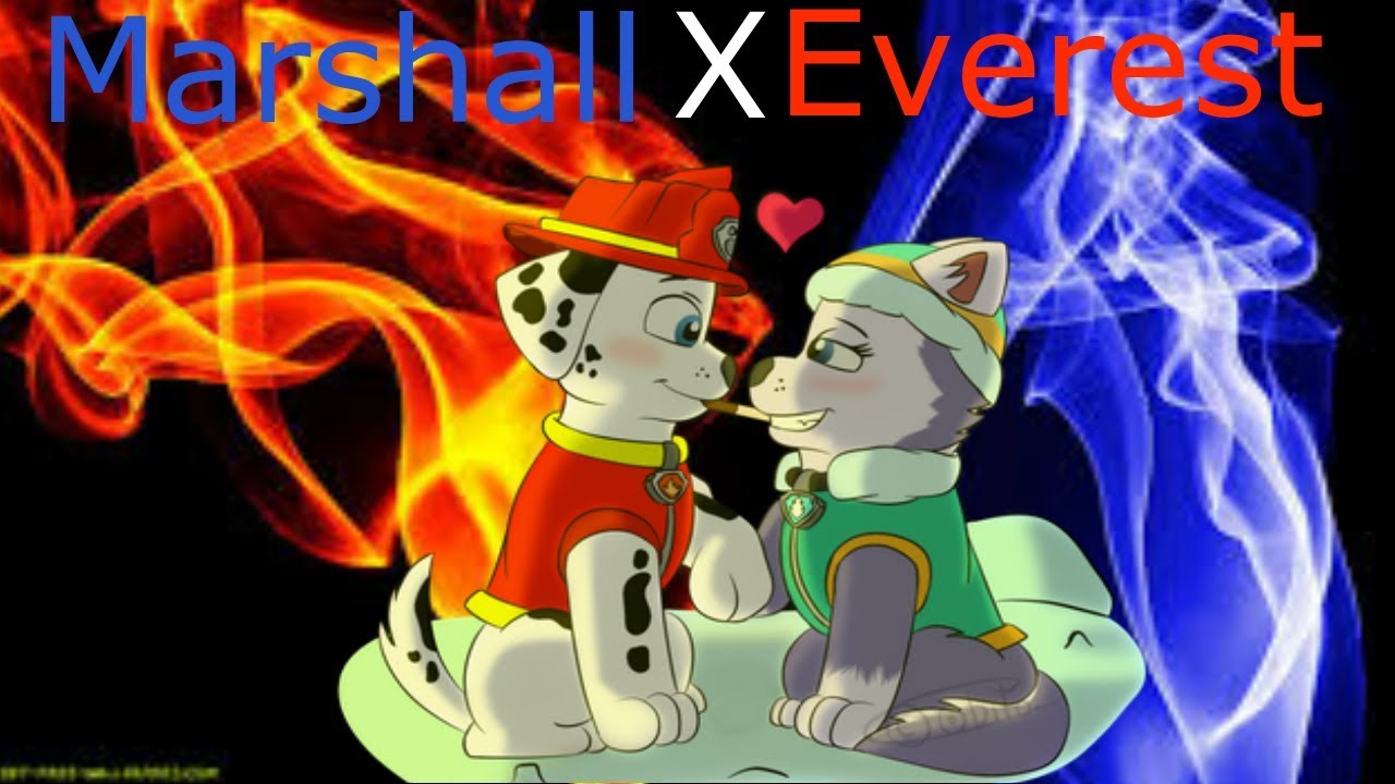 Marshall x Everest