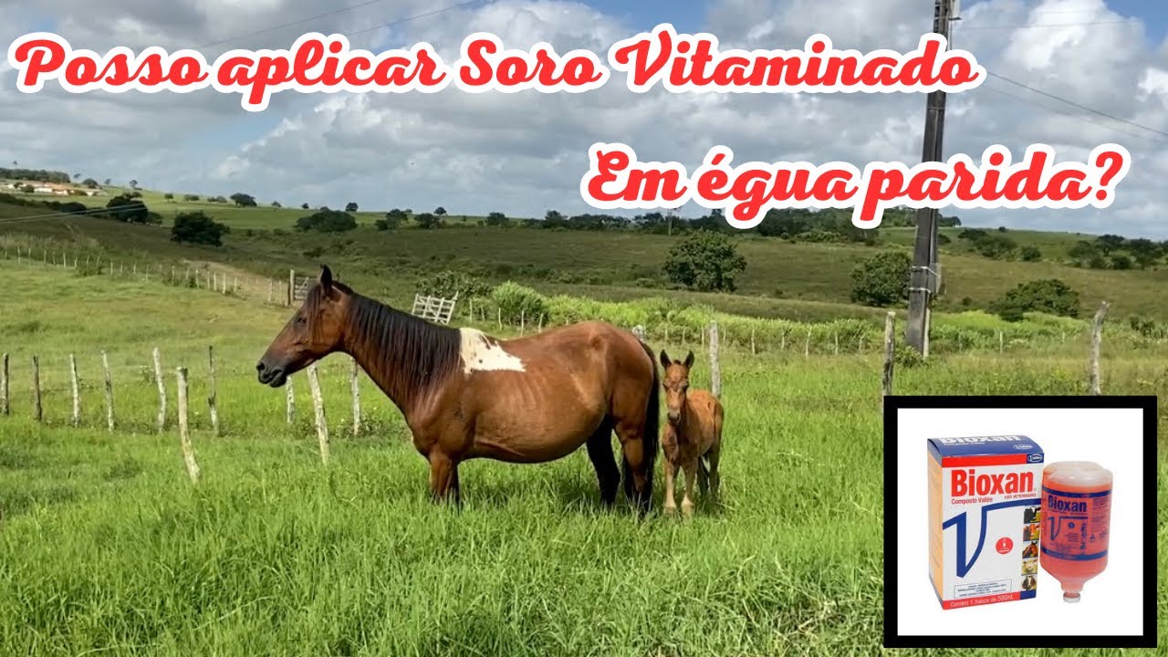 Posso usar soro vitaminado em égua parida?