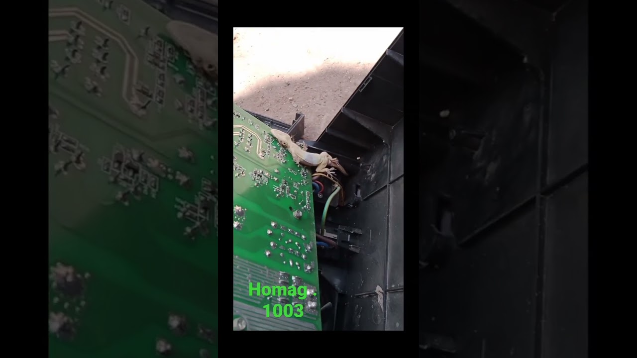 Homag 1003 f fault 0