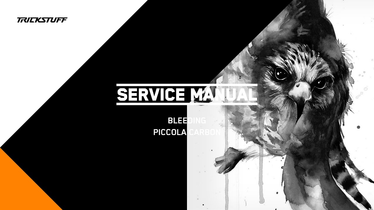 SERVICE MANUAL: BLEEDING - PICCOLA CARBON