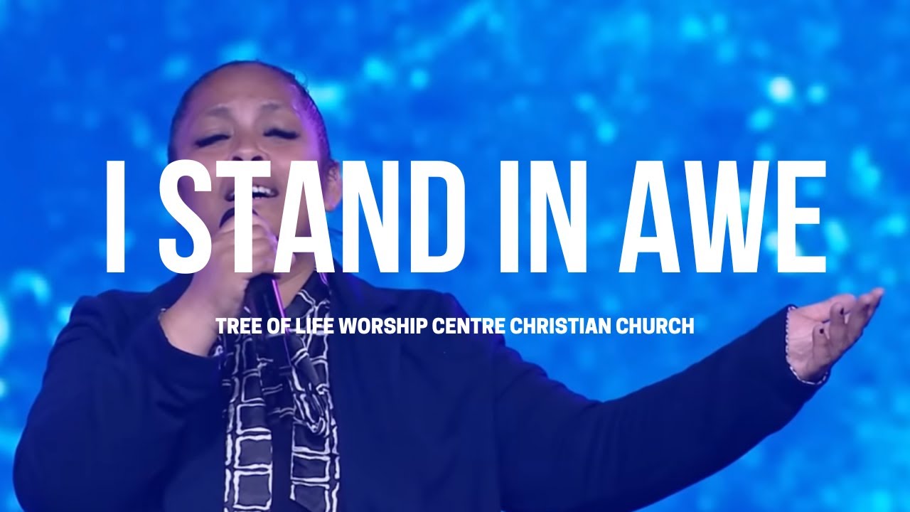 I Stand in Awe (Cover) | Jesus Image