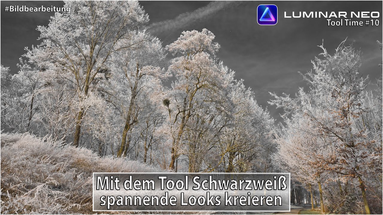 Luminar Neo - Mit dem Tool Schwarzweiß spannende Looks kreieren