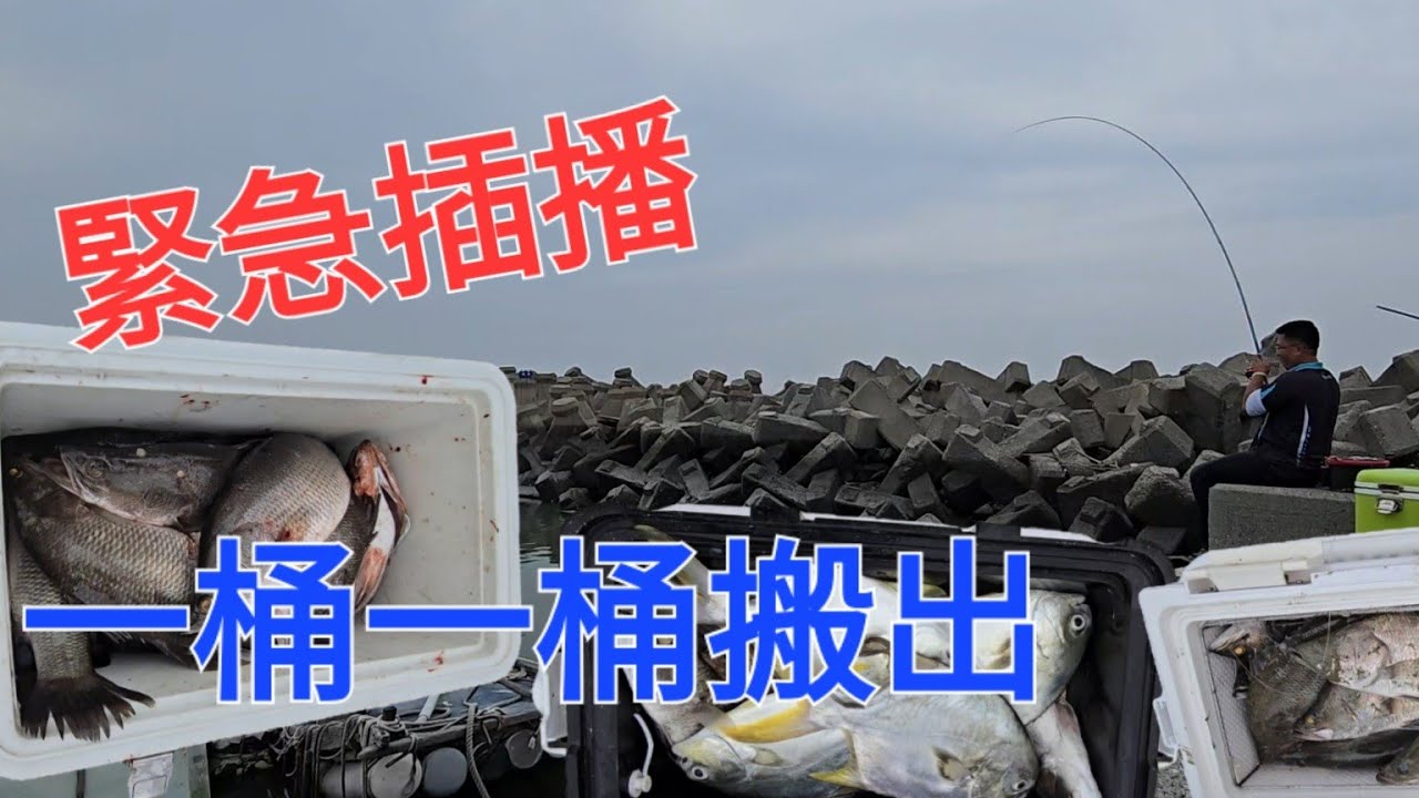 #緊急插播 連看的人都有貨，各各漁獲滿滿的一集 @fishing-Sen @wen-cheng @阿旺愛釣魚  #釣魚  #爆桶 #Fishing  #台湾の釣り #낚시 #câucá #螃蟹