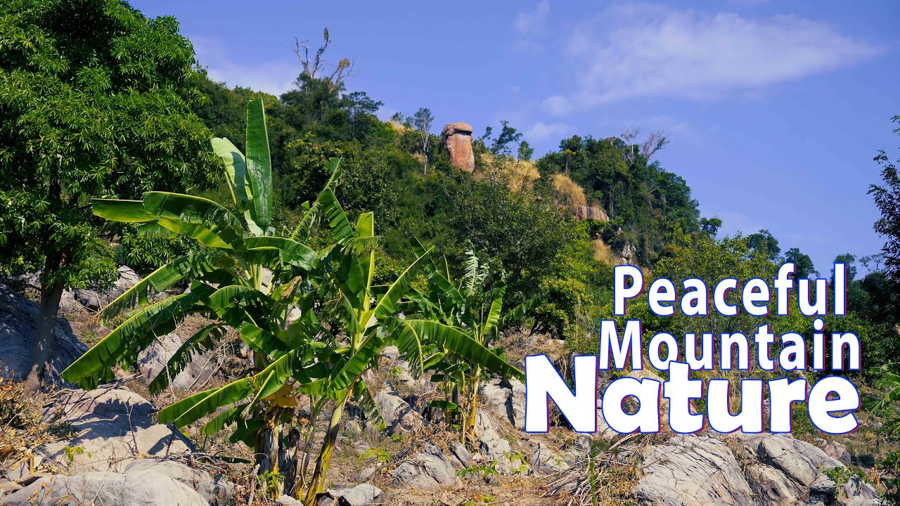 Peaceful Mountain Nature 🌿 Relaxing Music Soft Wind | Calm Mind, Deep Relaxation & Stress Relief
