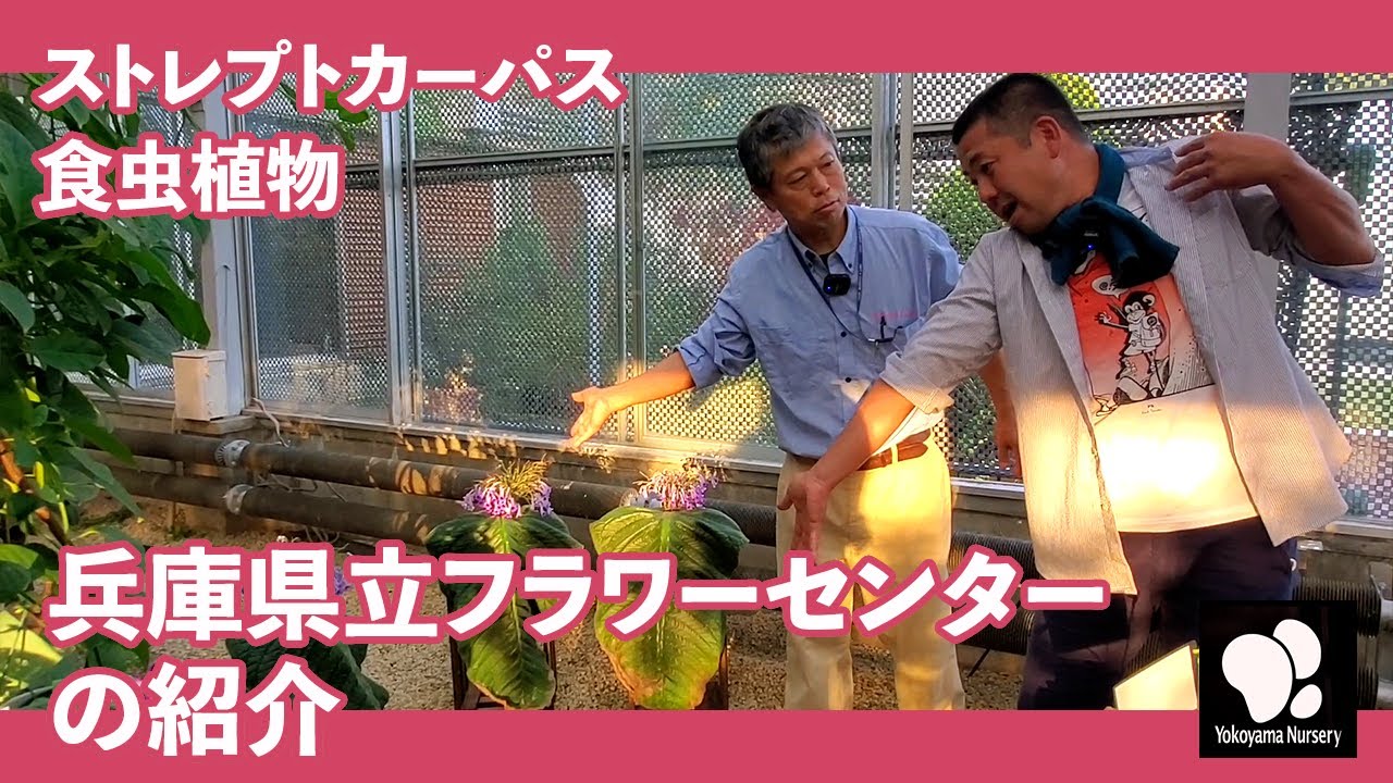 兵庫県立フラワーセンターのご紹介　◆横山園芸 公式◆