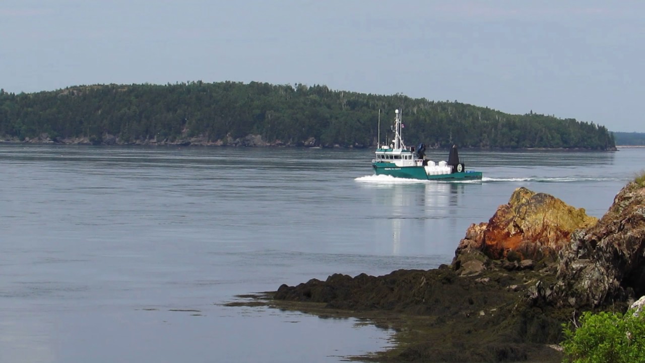 Old Sow Whirlpool; Deer Island, New Brunswick