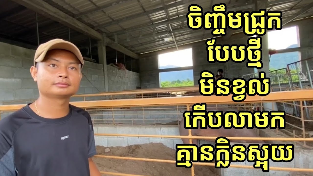ចិញ្ចឹមជ្រូកបែបថ្មី ចំណេញកម្លាំងពលកម្មច្រើន ហើយបានជីយកទៅប្រើទៀត 093615102