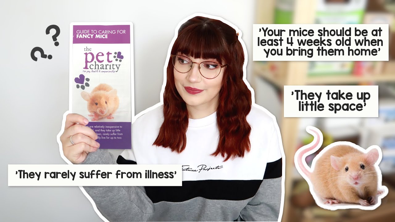 Reacting to a mouse care guide