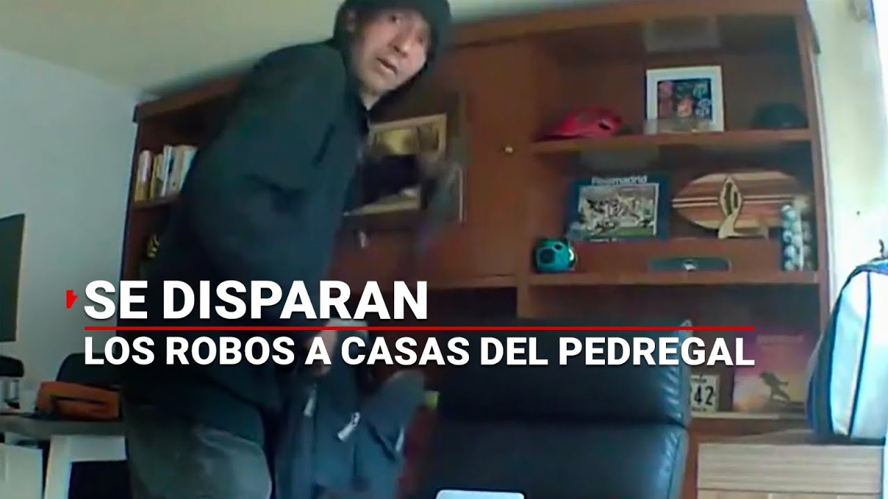 ¡Hay ratas hasta en el Pedregal! | Se disparan ROBOS a casa habitación al sur de la CDMX