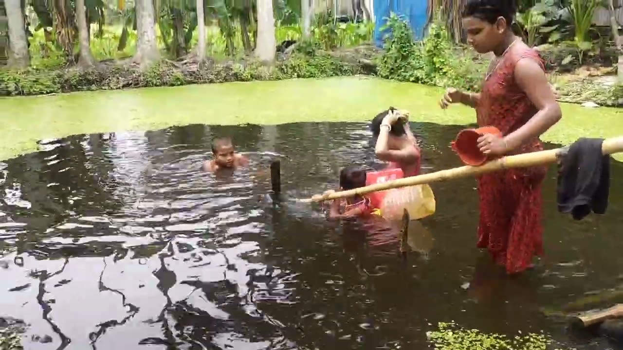পুকুরে স্নান করতে আসার একটা ছোট্ট ক্লিপস ভালো লাগলে like commant shar 🙏🙏🙏