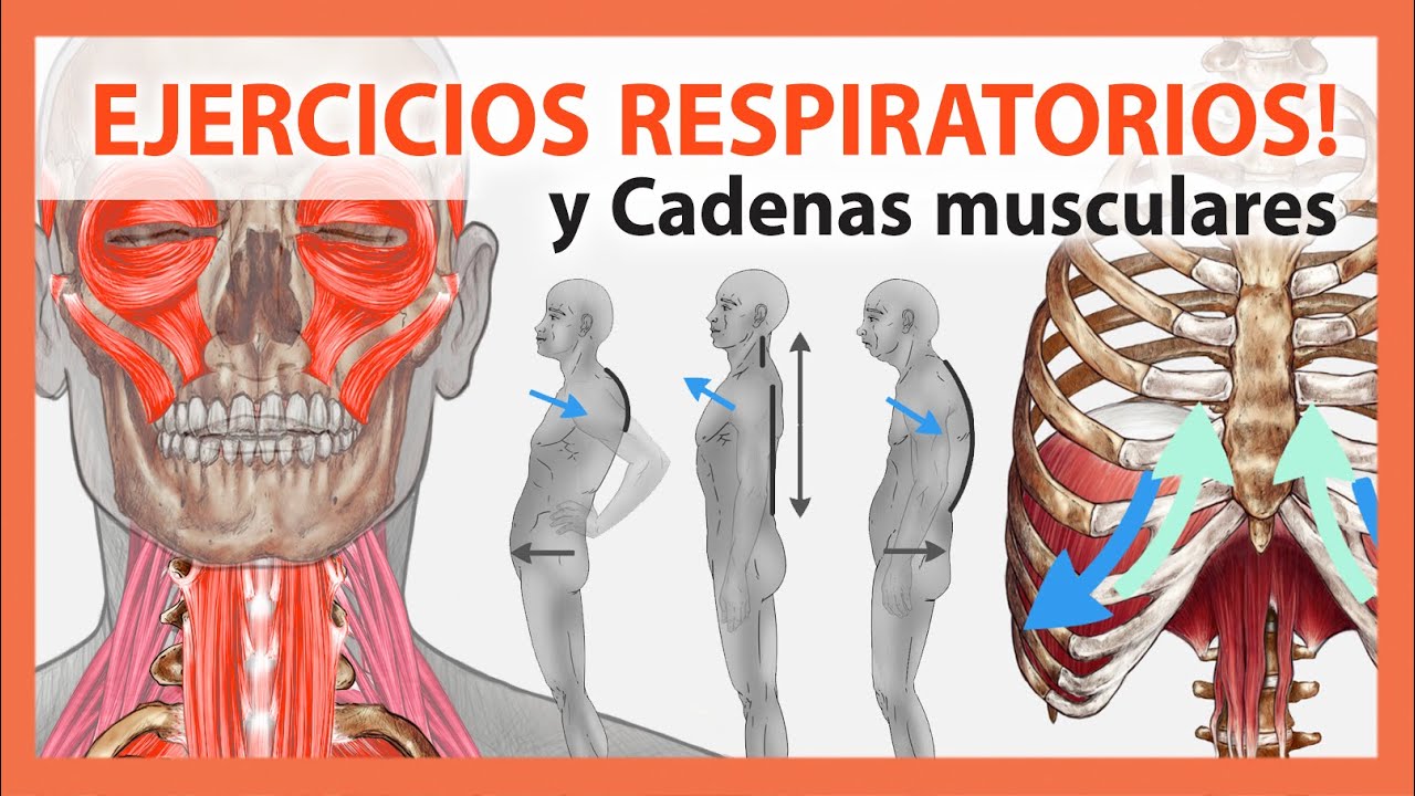 🛑 Alivia tu Dolor Mejorando tu Respiración 👉Desbloquea tus Cadenas Musculares: Técnicas y Ejercicios