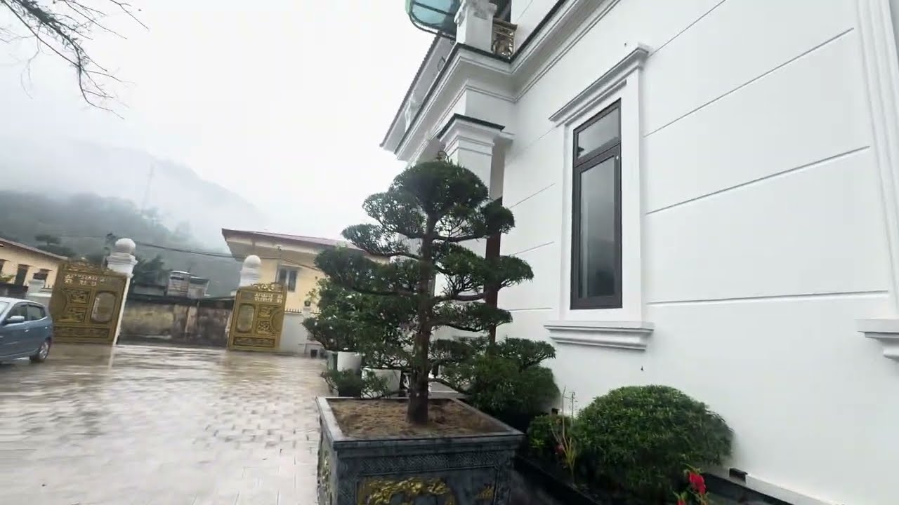 Ao vườn công trình chưa xong ra tết làm sau nhà Páo
