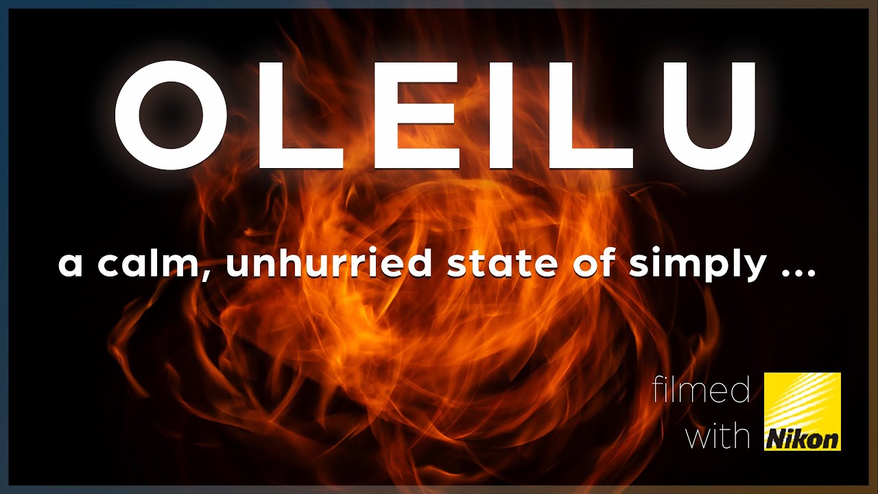 Oleilu: A Camp Life, Woodland & Photography Experience [Houdsta Official]