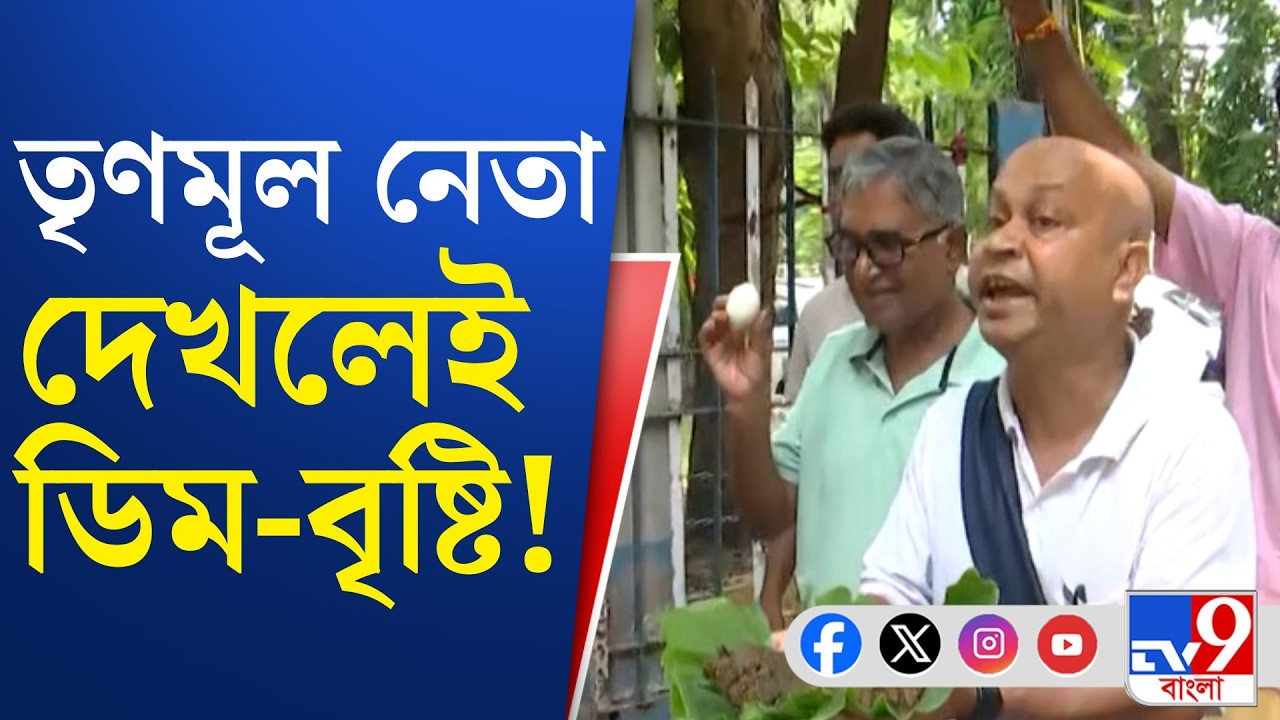 TMC Leader, Egg: নেতার তোলাবাজি, পাবলিকের 'ডিম'বাজি!