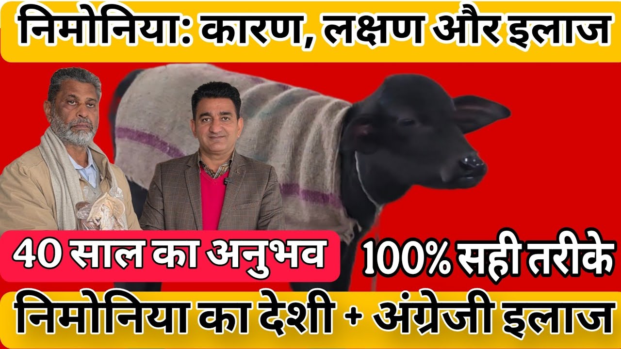 निमोनिया | कारण | लक्षण | इलाज |