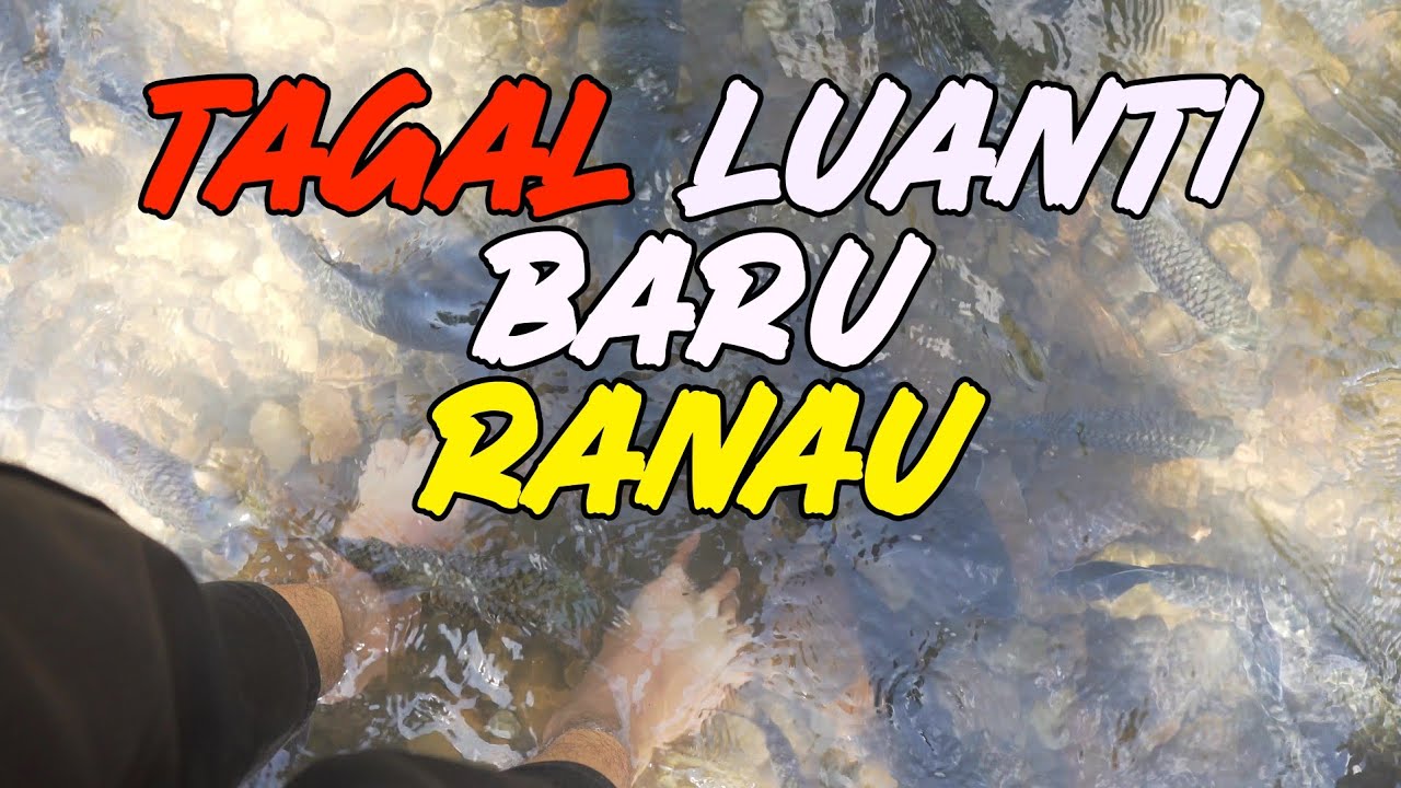Ikan Urut Kaki? di TAGAL LUANTI BARU, Ranau, Sabah