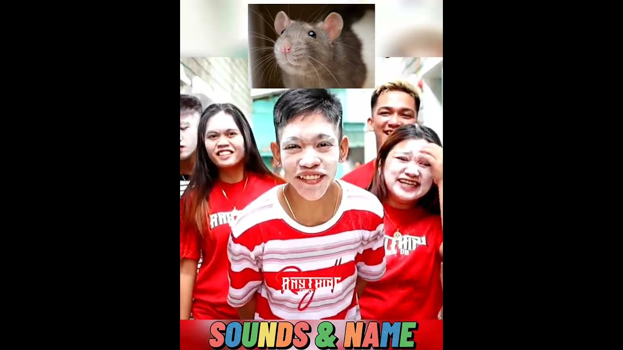 Guess the picture #51 Animal Sounds & Name