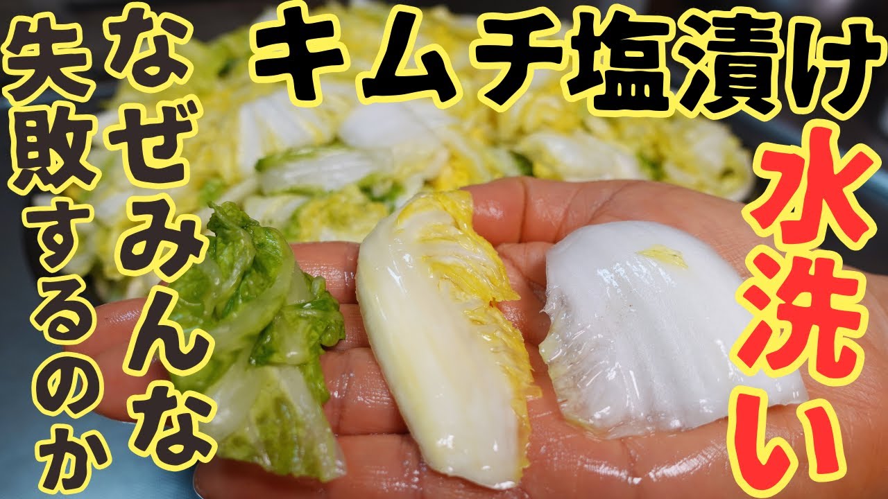 《永久保存版》【塩漬け～水洗い】キムチを失敗しないための塩漬け白菜の”水洗い”の方法をご紹介します！PART2/3