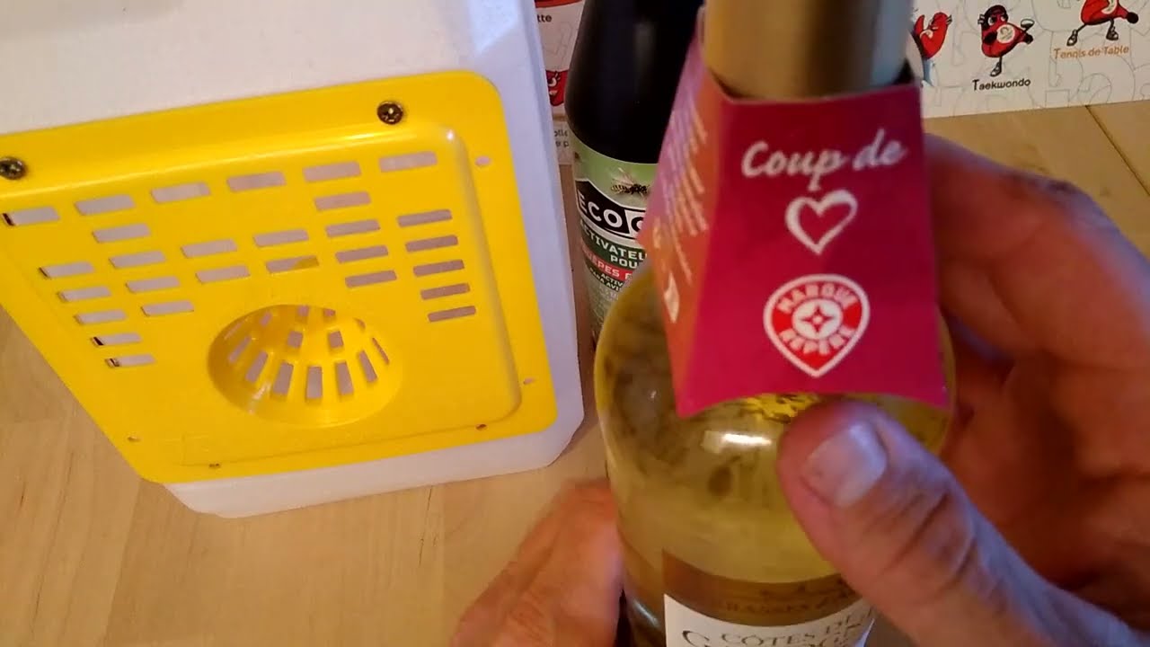 Piège à Frelons Asiatiques plus pratique 💪