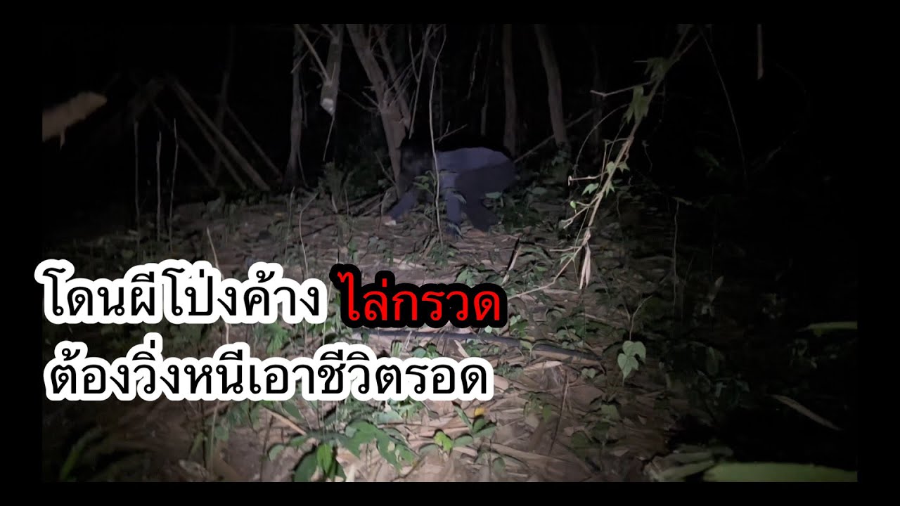 มาล่าผีโป่งค้าง”แต่กลับโดนมันวิ่งไล่กรวด”ต้องรีบวิ่งหนีเอาชีวิตรอด